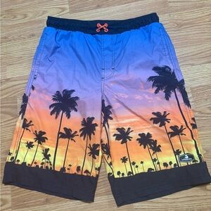 Vibrant Blue and Orange Swim Trunks with Tropical Design